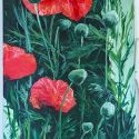 15-Poppies