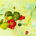 9-Nasturtiums-1