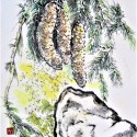 NicoleT_2
