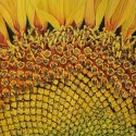 Golden-Radiance