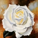 3_FloraM