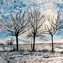18_Greenway_Winter-Blue-Green-Belt