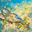 Bluebird-of-Happiness