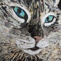 Cat-1-copy