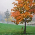 Indian-Summer