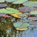 Lilypads