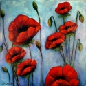 shoshana-lock-popies-acrylic-mm-24x24-resized-
