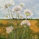 VeraWalton_SummerField_acryl_12x12