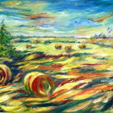 Ontario's Hayfields