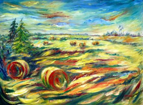 Ontario's Hayfields