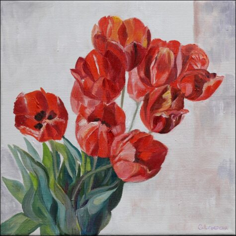 Tulip Time