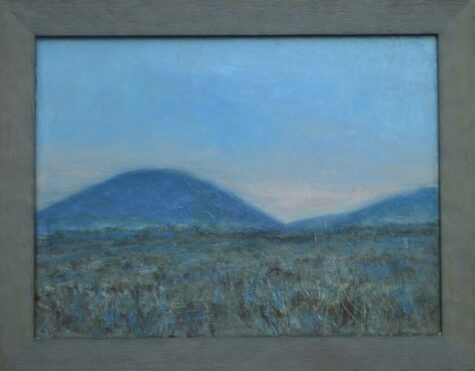 New Mexico, Silver Peaks