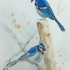 Blue Jays Together