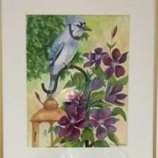 Hooked on A Blue Jay