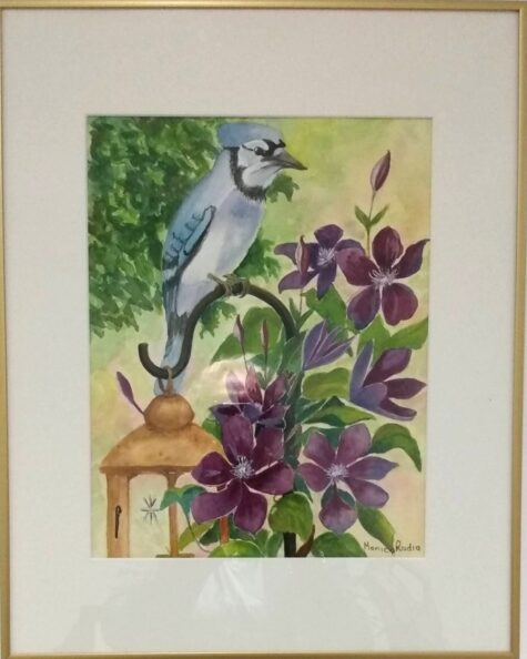 Hooked on A Blue Jay
