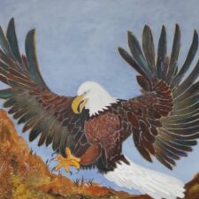 Landing Eagle