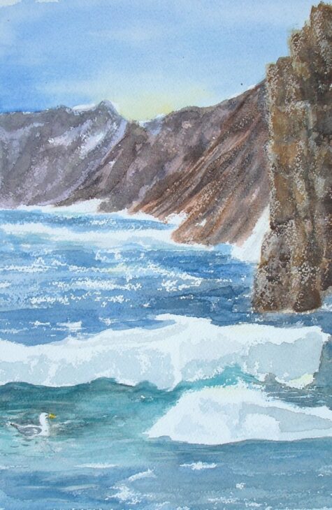 Coburg Island - High Arctic