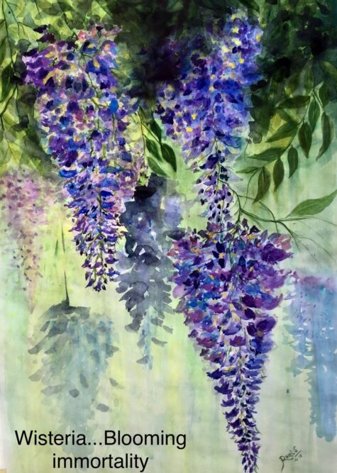 Wisteria