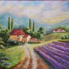 Lavender Fields