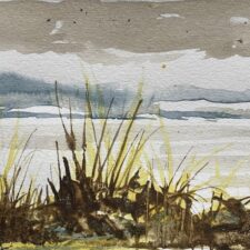 Looking Through the Grasses