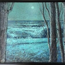 Moonlit Night