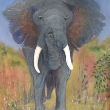Majestic African Elephant