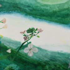 Soft of Spring