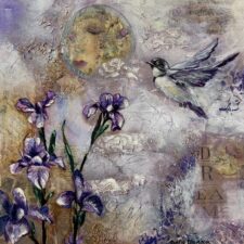 Where Dreams Take Flight