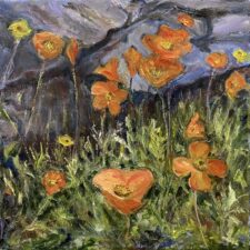 Icelandic Poppies