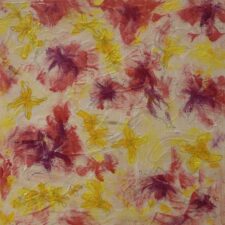 Spring Flowers