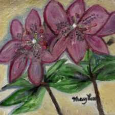 Lilies