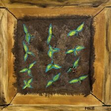 Sprouts