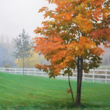Indian Summer